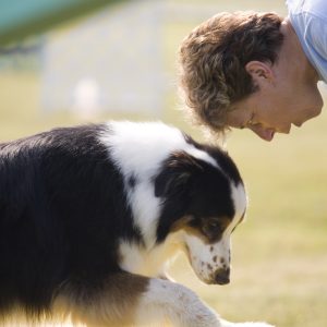 VetComfort Calming Spray